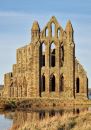 Whitby Abbey - Home